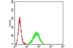 Flow cytometric analysis of HeLa cells using TNFSF13B mouse mAb (green) and negative control (red).