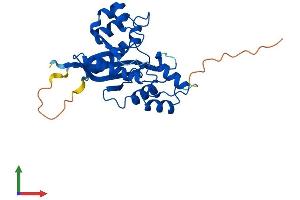 Protein Structure (PS) image for Nicotinamide Nucleotide Adenylyltransferase 3 (NMNAT3) (AA 1-252) protein (His tag) (ABIN7549889)
