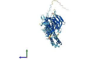 Protein Structure (PS) image for Ectodermal-Neural Cortex 1 (With BTB-Like Domain) (ENC1) (AA 1-589) protein (His tag) (ABIN7562367)