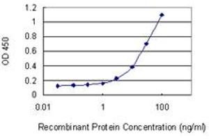 Detection limit for recombinant GST tagged RBP7 is 1 ng/ml as a capture antibody. (RBP7 抗体  (AA 35-134))