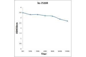 Antigen: 0. (RNH1 抗体  (AA 101-200))