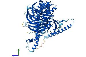 AlphaFold protein structure predicition of Mouse Recombinant Bbs7 Protein, UniprotID Q8K2G4