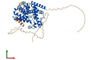 Protein Structure (PS) image for phosphodiesterase 7B (PDE7B) (AA 1-450) protein (His tag) (ABIN7550605)