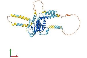 AlphaFold protein structure predicition of Mouse Recombinant Atxn3 Protein, UniprotID Q9CVD2