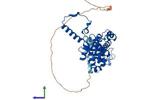 Protein Structure (PS) image for Mitochondrial Ribosomal Protein S22 (MRPS22) (AA 1-359) protein (His tag) (ABIN7560732)