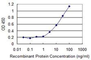 Detection limit for recombinant GST tagged CD58 is 1 ng/ml as a capture antibody. (CD58 抗体  (AA 1-240))