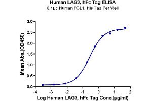 Immobilized Human FGL1, His Tag at 1 μg/mL (100 μL/well) on the plate. (LAG3 Protein (AA 23-450) (Fc Tag))