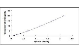 Typical standard curve (LRP4 ELISA 试剂盒)