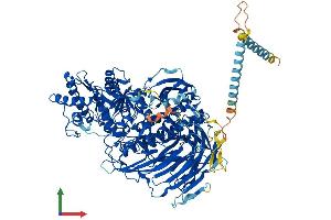 Protein Structure (PS) image for Mannosidase, Alpha, Class 2A, Member 2 (MAN2A2) (AA 1-1152) protein (His tag) (ABIN7564416)