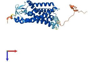 Hydroxycarboxylic Acid Receptor 2 (HCAR2) (AA 1-363) protein (His tag)