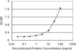 Sandwich ELISA detection sensitivity ranging from 1 ng/mL to 100 ng/mL. (POU6F1 (人) Matched Antibody Pair)