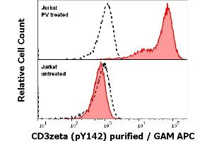 Anti-Hu CD3 zeta (pY142) purified antibody (clone EM-54) works in Flow Cytometry application Analysis of the antibody staining was performed on Jurkat cells treated or untreated with pervanadate (PV) prior to the fixation and permeabilization of cell suspension with cold methanol. (CD247 抗体  (pTyr142))
