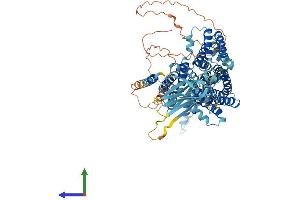 Protein Structure (PS) image for P Protein (OCA2) (AA 1-833) protein (His tag) (ABIN7563938)