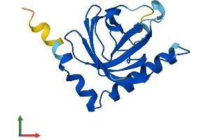 Protein Structure (PS) image for Riboflavin Kinase (RFK) (AA 1-155) protein (His tag) (ABIN7551340)