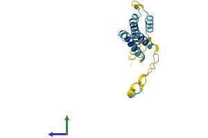 Protein Structure (PS) image for Hairy and Enhancer of Split 2 (HES2) (AA 1-157) protein (His tag) (ABIN7562415)
