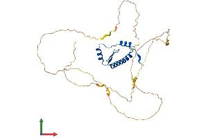 Protein Structure (PS) image for Myocyte Enhancer Factor 2B (MEF2B) (AA 1-349) protein (His tag) (ABIN7562476)
