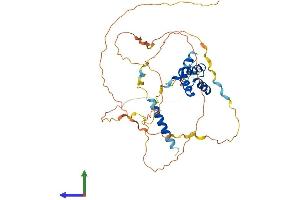 Protein Structure (PS) image for TGFB-Induced Factor Homeobox 1 (TGIF1) (AA 1-401) protein (His tag) (ABIN7544311)