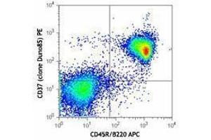 Flow Cytometry (FACS) image for anti-Tetraspanin 26 (TSPAN26) antibody (PE) (ABIN2662623) (CD37 抗体  (PE))