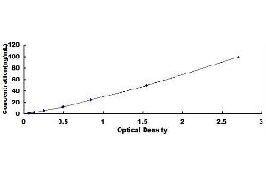 Typical standard curve (ENDOD1 ELISA 试剂盒)