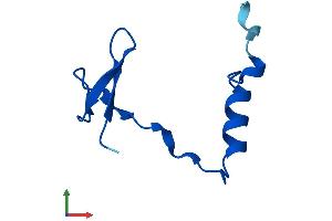Protein Structure (PS) image for NOP10 Ribonucleoprotein Homolog (Nop10) (AA 1-64) protein (Fc Tag) (ABIN7560570)