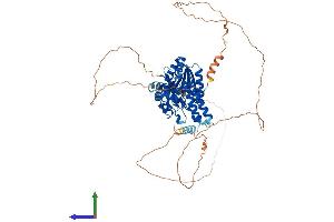 AlphaFold protein structure predicition of Mouse Recombinant Cdyl Protein, UniprotID Q9WTK2