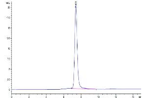 Size-exclusion chromatography-High Pressure Liquid Chromatography (SEC-HPLC) image for Met Proto-Oncogene (MET) (AA 25-930) protein (His tag) (ABIN7275246)