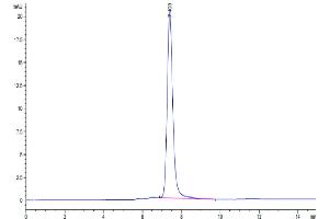 The purity of Cynomolgus HGF R is greater than 95 % as determined by SEC-HPLC. (c-MET Protein (AA 25-930) (His tag))
