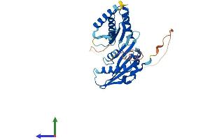 Protein Structure (PS) image for Impact Homolog (IMPACT) (AA 1-318) protein (His tag) (ABIN7562477)