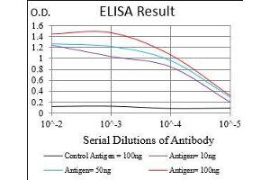 ELISA image for anti-Myostatin (MSTN) (AA 24-266) antibody (ABIN2683000)