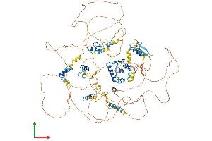 Protein Structure (PS) image for Teashirt Zinc Finger Homeobox 3 (TSHZ3) (AA 1-1081) protein (His tag) (ABIN7555860)