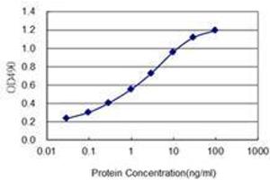 Detection limit for recombinant GST tagged PAX2 is 0. (PAX2A 抗体  (AA 194-303))