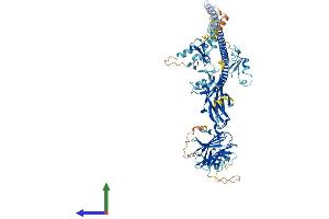Protein Structure (PS) image for Midline 2 (MID2) (AA 1-705) protein (His tag) (ABIN7561728)