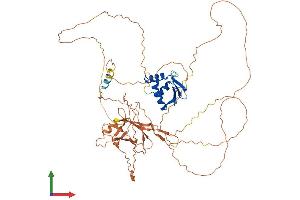AlphaFold protein structure predicition of Human Recombinant ELF2 Protein, UniprotID Q15723