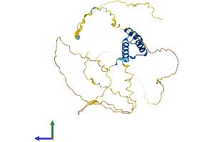 Protein Structure (PS) image for ALX Homeobox 3 (ALX3) (AA 1-343) protein (His tag) (ABIN7562507)