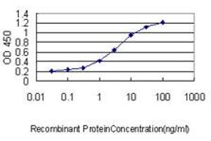 Detection limit for recombinant GST tagged SQSTM1 is approximately 0. (SQSTM1 抗体  (AA 1-440))