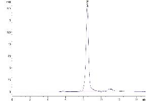 Size-exclusion chromatography-High Pressure Liquid Chromatography (SEC-HPLC) image for alpha-Fetoprotein (AFP) (AA 19-605) protein (His tag) (ABIN7273811)