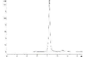 The purity of Mouse AFP is greater than 95 % as determined by SEC-HPLC. (alpha Fetoprotein Protein (AA 19-605) (His tag))