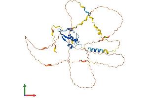 Protein Structure (PS) image for Ring Finger Protein 44 (RNF44) (AA 1-407) protein (His tag) (ABIN7557197)