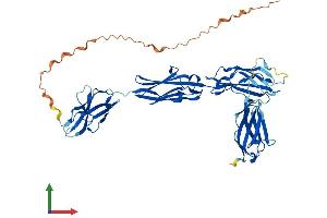 Protein Structure (PS) image for Myosin Binding Protein H (MYBPH) (AA 1-477) protein (His tag) (ABIN7549583)