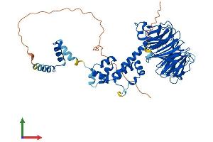 Protein Structure (PS) image for F-Box and WD Repeat Domain Containing 11 (FBXW11) (AA 1-542) protein (His tag) (ABIN7553917)