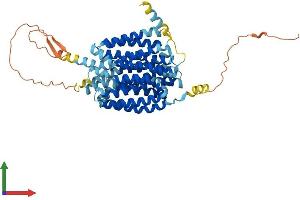 Protein Structure (PS) image for Solute Carrier Family 18 (Vesicular Monoamine Transporter), Member 2 (SLC18A2) (AA 1-514) protein (His tag) (ABIN7545059)