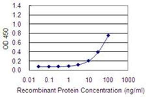 Detection limit for recombinant GST tagged HYAL4 is 1 ng/ml as a capture antibody. (HYAL4 抗体  (AA 357-456))