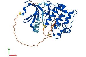Protein Structure (PS) image for Aurora Kinase C (AURKC) (AA 1-309) protein (His tag) (ABIN7552489)