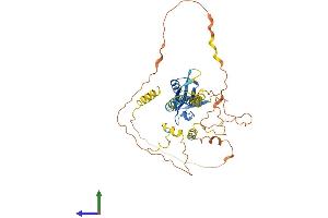 AlphaFold protein structure predicition of Mouse Recombinant Tamalin Protein, UniprotID Q9JJA9 (Tamalin/GRASP Protein (AA 1-392) (His tag))