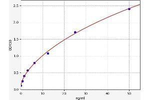 Typical standard curve (CNDP2 ELISA 试剂盒)