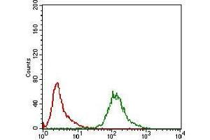 Flow cytometric analysis of K562 cells using KHDRBS2 mouse mAb (green) and negative control (red).