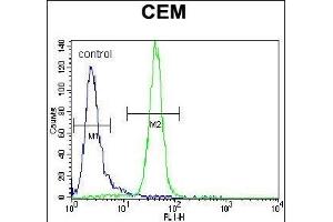 ARA Antibody (Center) (ABIN656834 and ABIN2846044) flow cytometric analysis of CEM cells (right histogram) compared to a negative control cell (left histogram). (PPARA 抗体  (AA 153-181))
