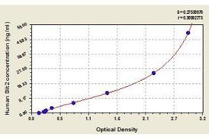 Typical standard curve (SLIT2 ELISA 试剂盒)