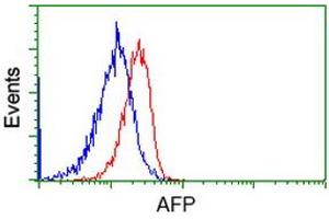 Image no. 1 for anti-alpha-Fetoprotein (AFP) antibody (ABIN1496485) (alpha Fetoprotein 抗体)