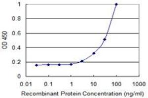 Detection limit for recombinant GST tagged ANGPTL3 is 1 ng/ml as a capture antibody. (ANGPTL3 抗体  (AA 17-460))